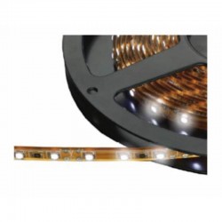  CL5500330 