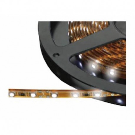  CL5500330 